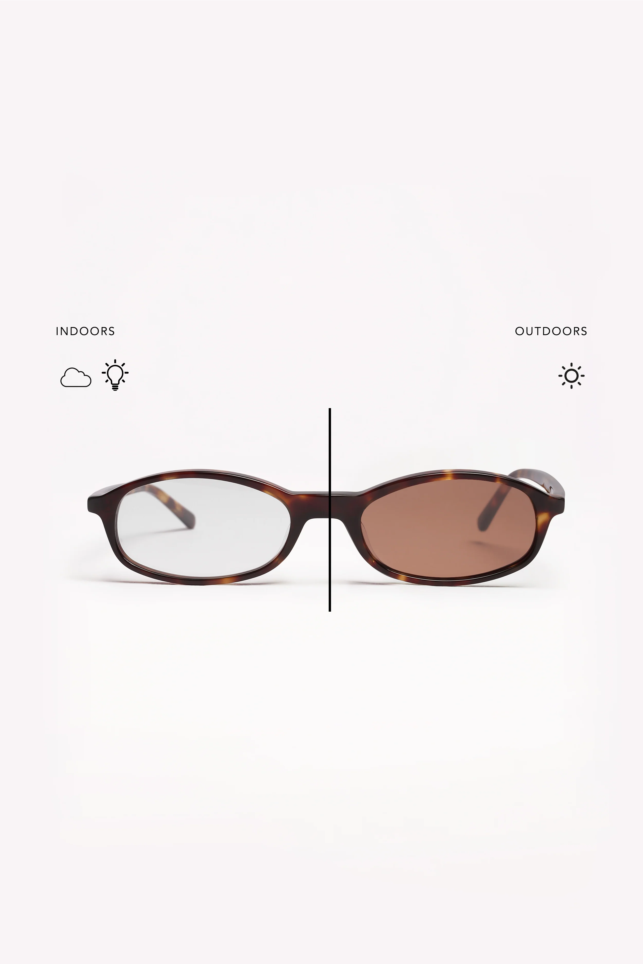GINI Tortoise Transition